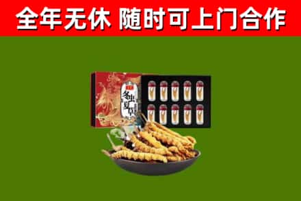 碧江回收冬虫夏草价格
